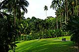 Сингапурский Ботанический сад