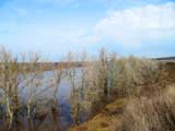 Разлив р.Дон на границе Лискинского и Павловского районов. Апрель 2012