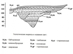 Схема строения миоценовых отложений основной долины в пределах Окско-донской низменности. Шкала высот дана применительно к широте г. Воронежа