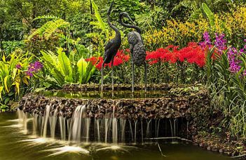 Ботанический сад Сингапура.