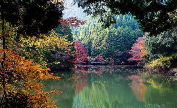 Природа Японии
